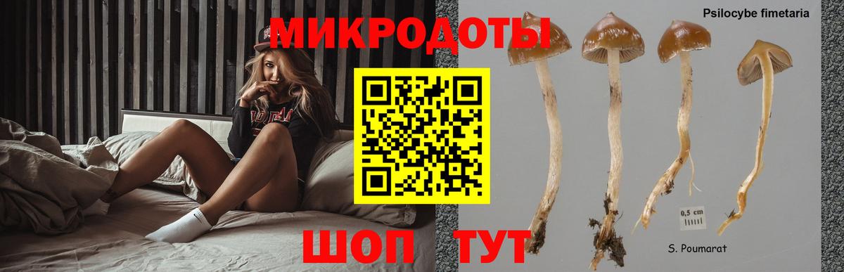 Каспийск  Псилоцибиновые грибы Psilocybe  Вход с VPN  наркота  Псилоцибиновые грибы мицелий 